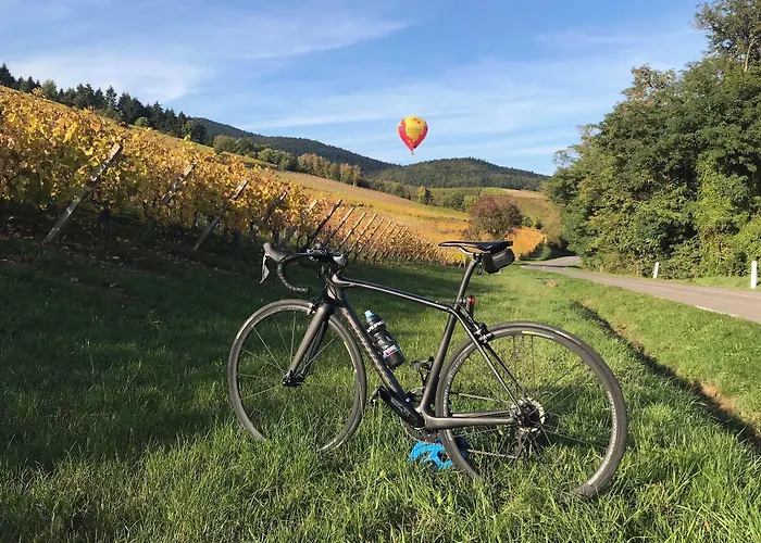 Logis Beauséjour Hotel
